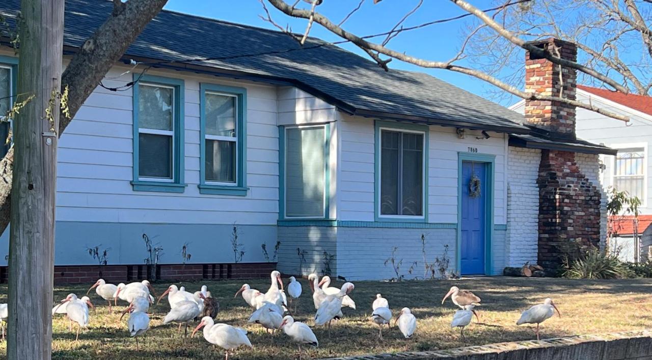 Pool Home Sleeps 6 With Large Fenced Yard Jacksonville Esterno foto