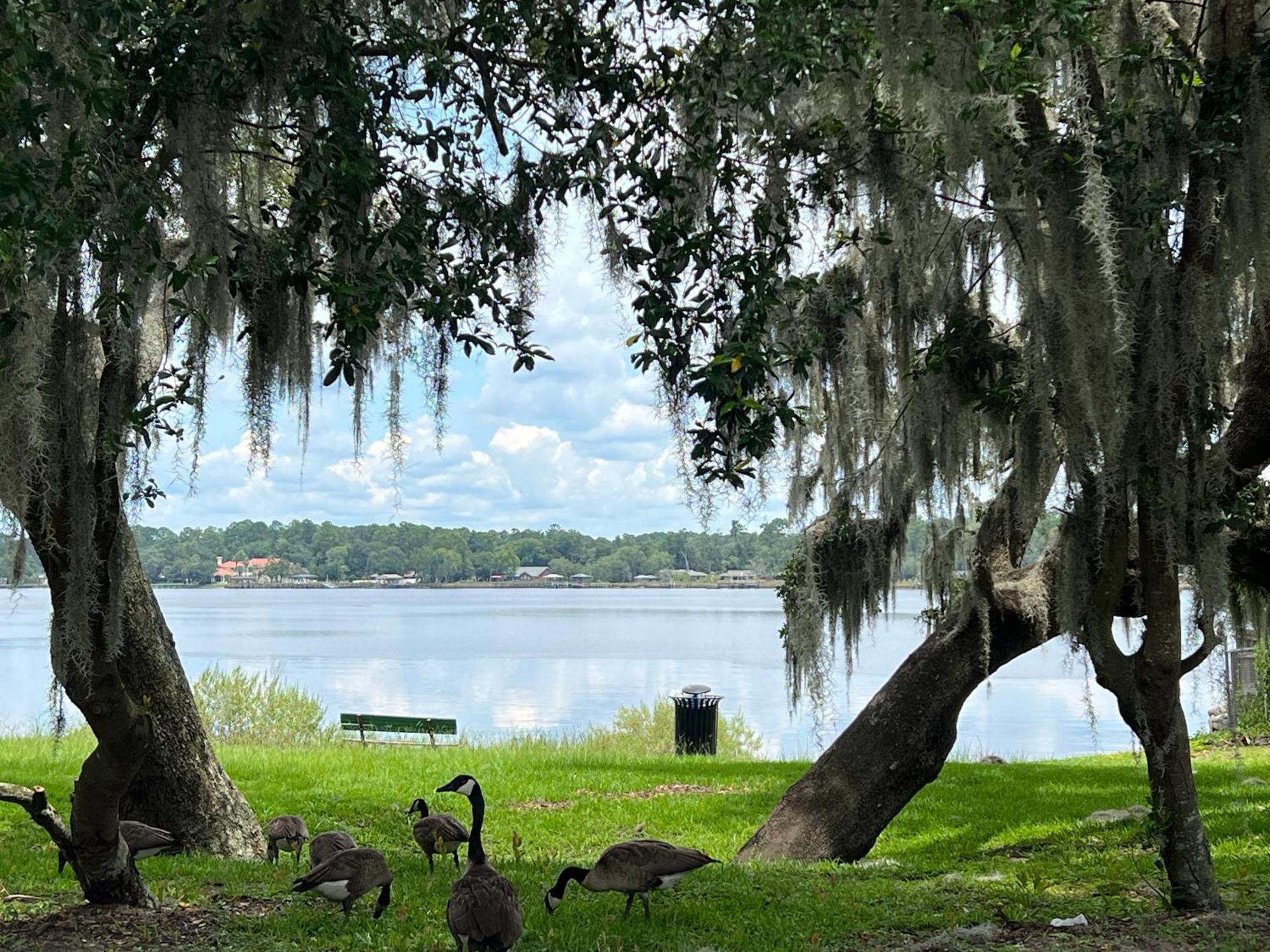 Pool Home Sleeps 6 With Large Fenced Yard Jacksonville Esterno foto